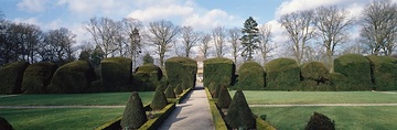 Schloss Clemenswerth: Schlosspark mit dekorativ beschnittenem Buschwerk