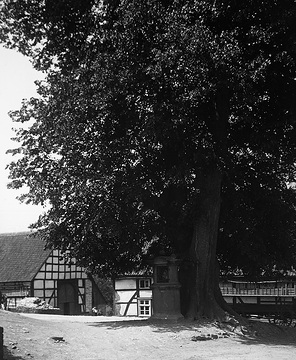 Dorflinde mit Bildstock in Fürstenberg