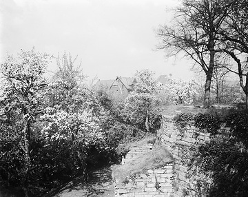 Baumblüte in den Wallanlagen, ca. 1913.
