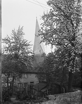 Blühende Obstbäume mit Kirchturm von Alt-St. Thomae