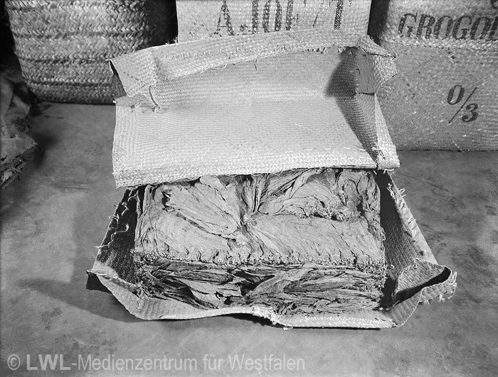 10_3556 Tabakindustrie im Münsterland vor dem 2. Weltkrieg
