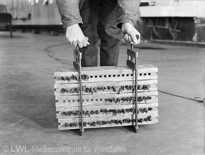 10_3563 Tabakindustrie im Münsterland vor dem 2. Weltkrieg