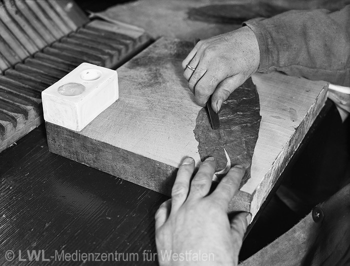 10_3565 Tabakindustrie im Münsterland vor dem 2. Weltkrieg