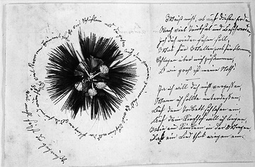 Handschrift der Dichterin Annette von Droste-Hülshoff: Albumblatt mit religiösem Motiv