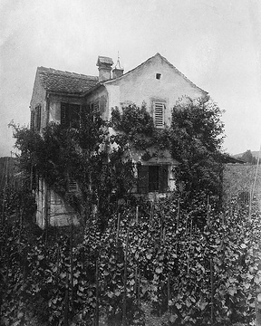Das "Fürstenhäusle" in einem Weinberg am Bodensee, 1843 von Annette von Droste-Hülshoff erworben