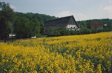 LWL-Freilichtmuseum Detmold: Lippischer Meierhof, Haupthaus von 1570