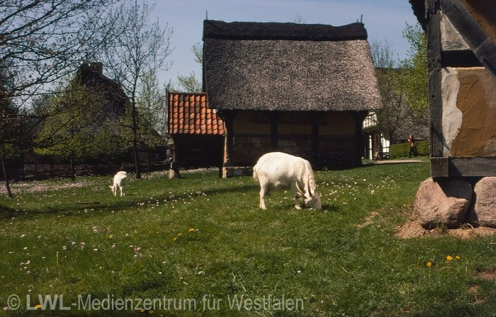 10_3713 Museen des Landschaftsverbandes Westfalen-Lippe (LWL)