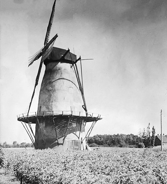 Windmühle im Münsterland