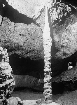Palmengrotte in der Dechenhöhle bei Letmathe- Dröschede