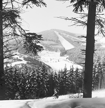 Blick auf die Skisprungschanze aus Richtung Bobbahn