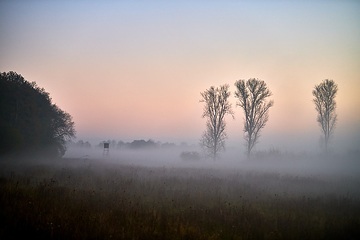 Sonnenaufgang mit Nebelschwaden in der Davert, einem Naturschutzgebiet zwischen Münster und Senden