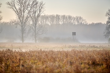Hochsitz in Nebelschwaden in der Davert, einem Naturschutzgebiet zwischen Münster und Senden