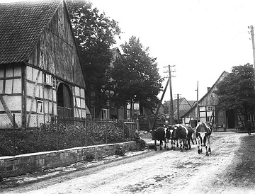 Fachwerk-Bauernhäuser an der Dorfstraße in Niederntudorf