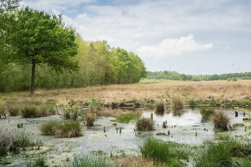 Das Emsdettener Venn zählt zu den ältesten Naturschutzgebieten in Westfalen. Als Teil des europäischen Naturerbes genießt es internationale Bedeutung. Blick über das Moor, vom Lehr- und Erlebnispfad aus gesehen.