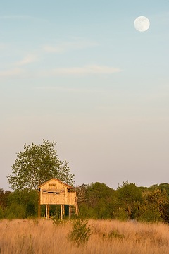 Recker Moor: Im Recker Moor befinden sich zwei Beobachtungs- und Aussichtstürme. Die Beobachtungsstation „Schnepfenturm“ in den letzten Sonnenstrahlen der Abendsonne und vor dem aufgehenden Vollmond.