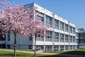 Fachhochschule Münster, Campus Steinfurt: Kirschblüte auf dem Campus. Blick auf Campus-Gebäude E 