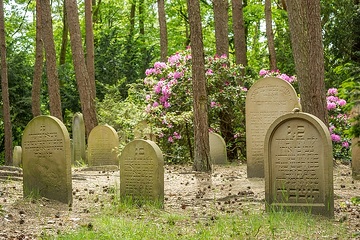 Westerkappeln, Jüdischer Friedhof: Der Friedhof wurde von 1812 bis 1937 belegt. Heute ist er eine Denkmalstätte. Auf dem Friedhof in einem Waldstück nahe der Osnabrücker Straße sind 49 Grabsteine erhalten.