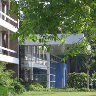 Eingang zum Haus und Bäume Eingang zum Haus und Bäume