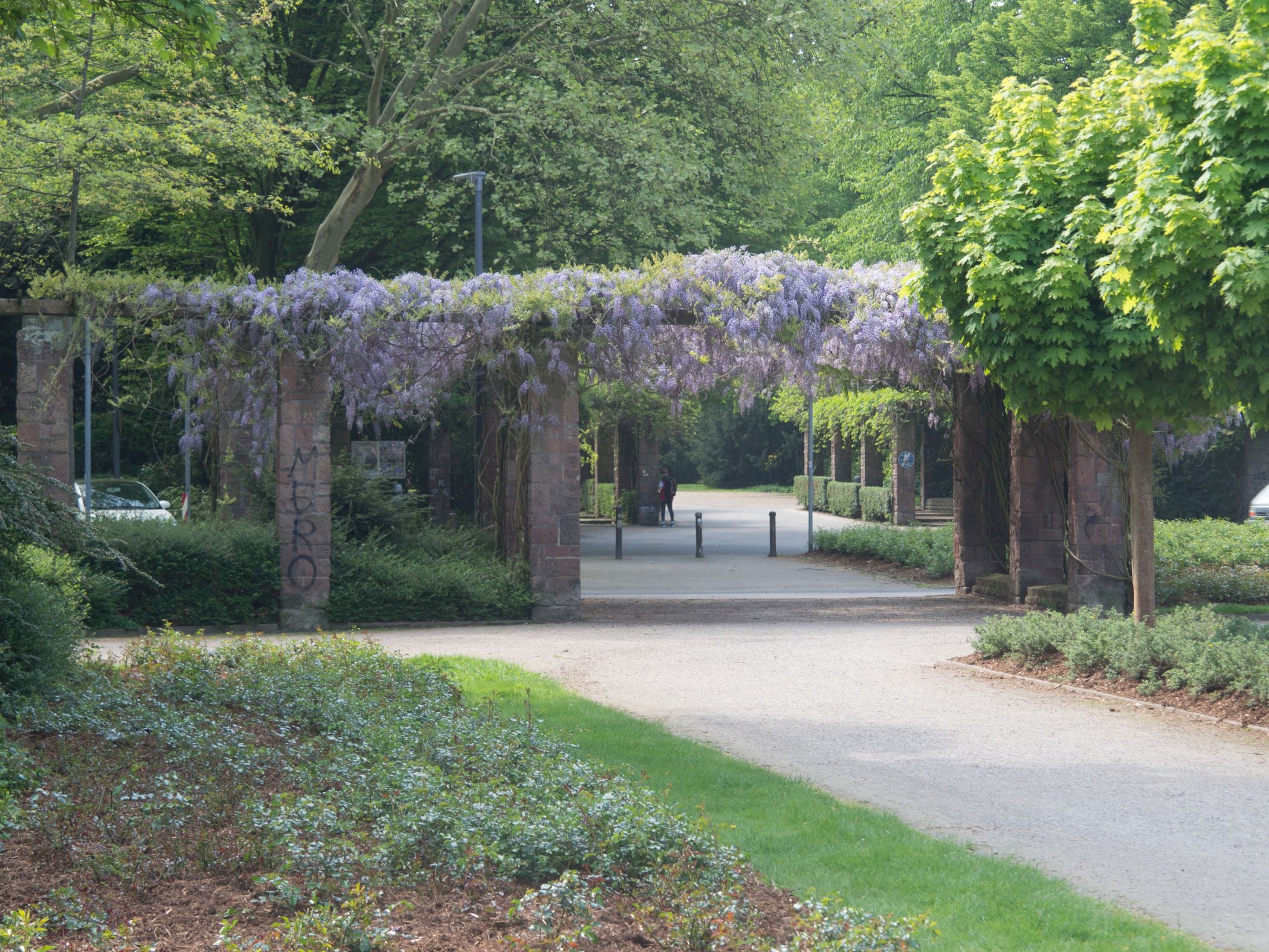 Pergola als Parkeingang, Aufenthaltsort und gestalterische Verbindung der beiden Parkteile an der Zeppelinallee. <br>Foto: "Datenlizenz Deutschland - Zero"