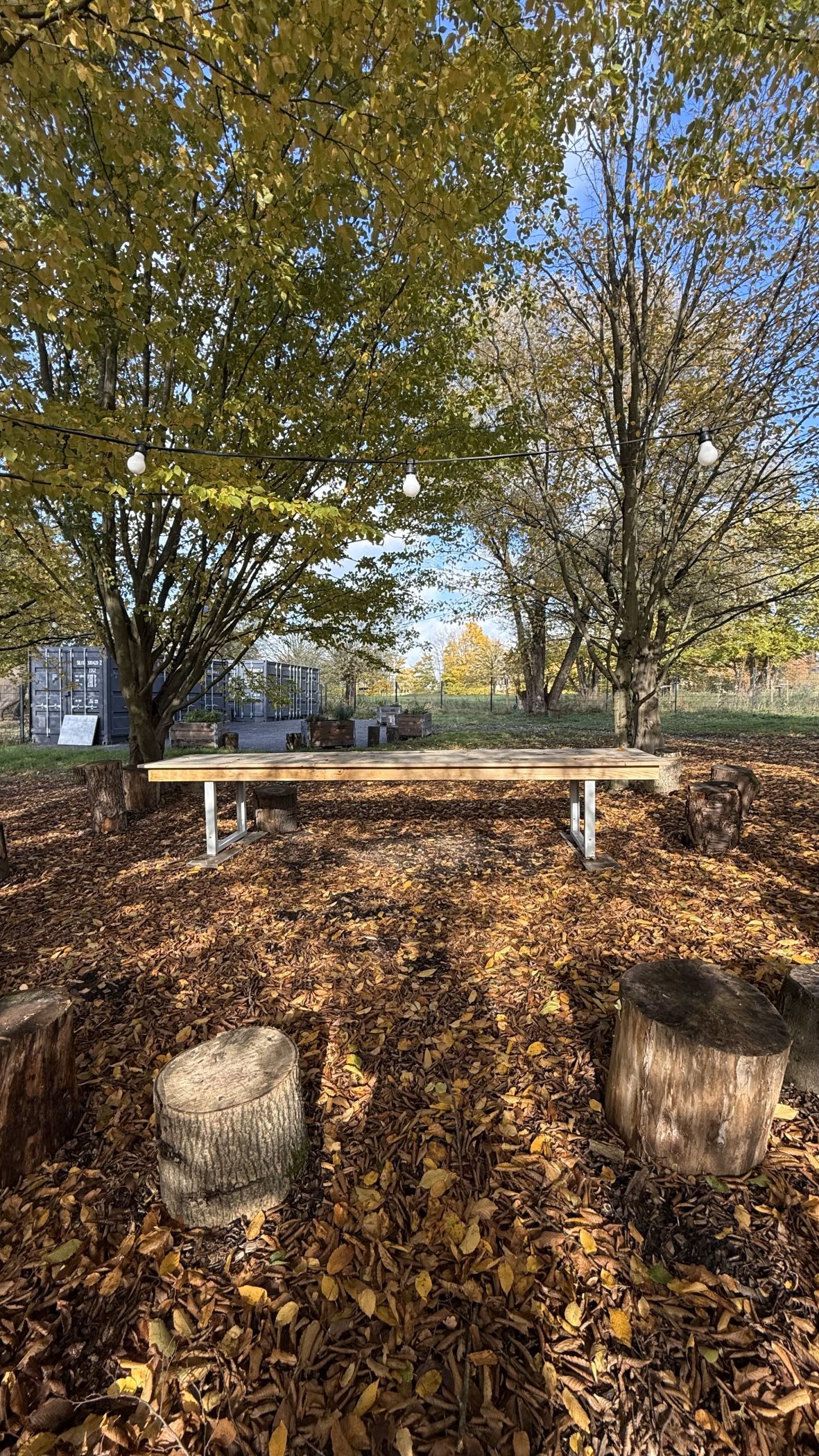 Das LWL-Museum für Naturkunde öffnet seinen Museumsgarten für Besuchende an diesem Tag.<br>Foto: LWL/Leckelt-Hüls