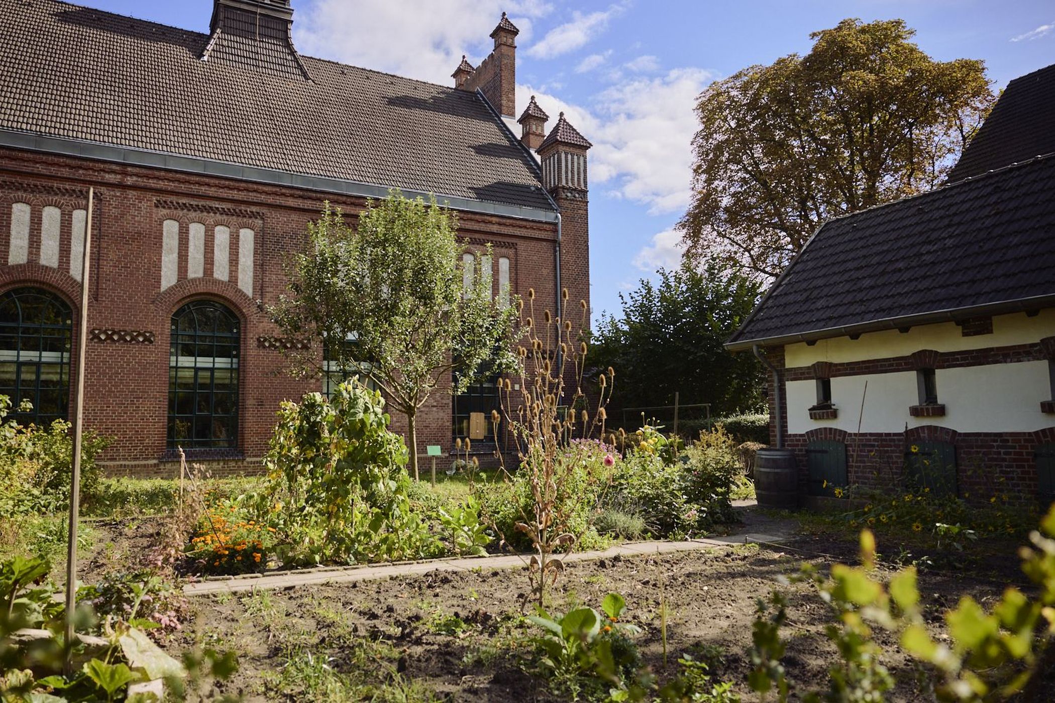 Im Arbeitergarten der Zeche Zollern wachsen Pflanzen, die schon die Bergarbeiterfamilien angebaut haben.<br>Foto: LWL / Tobias Sitko