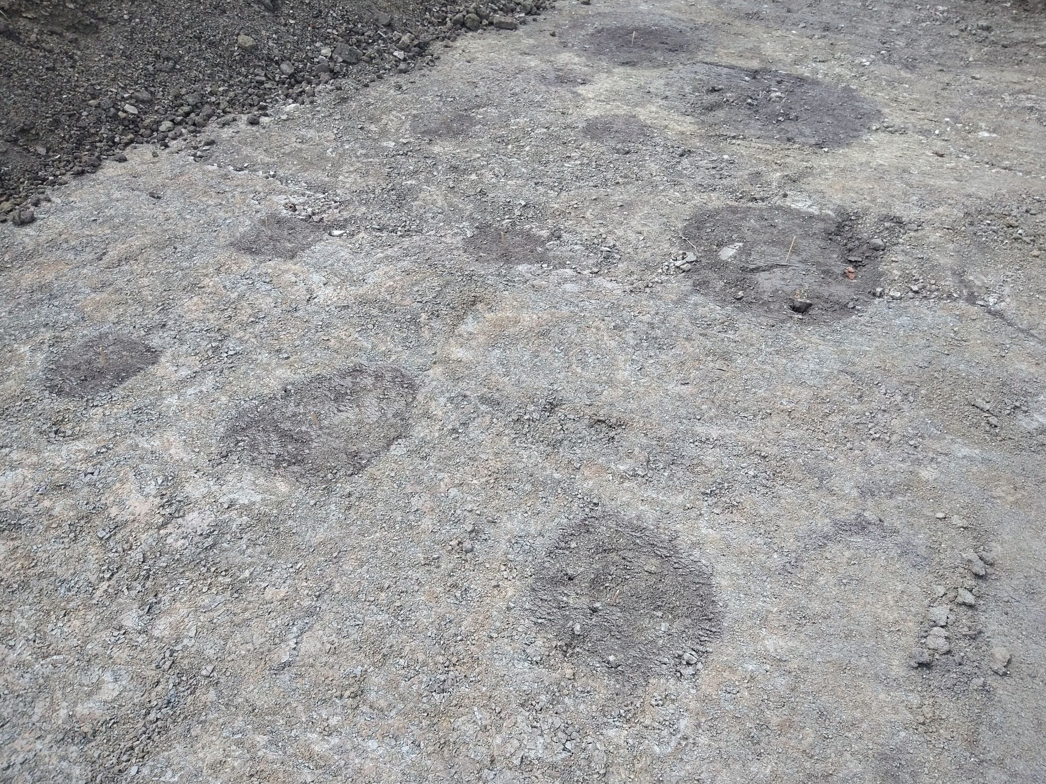 Die Spuren der Hauspfosten zeichnen sich im Boden als dunkle Verfärbungen deutlich ab.<br>Foto: LWL-Archäologie/S. Spiong
