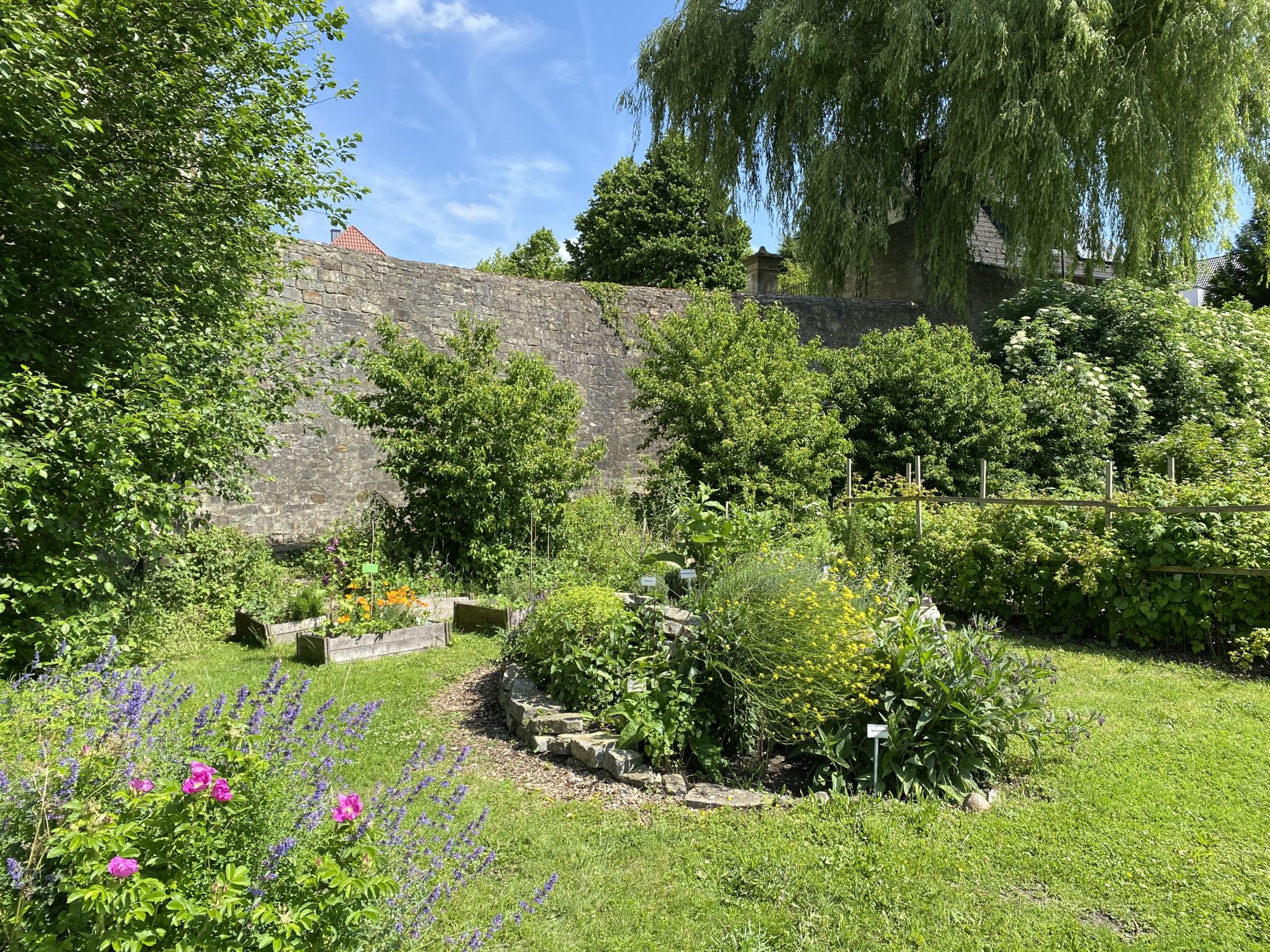 Wurzgarten Büren, Büren<br>Foto: LWL / Pfeiffer