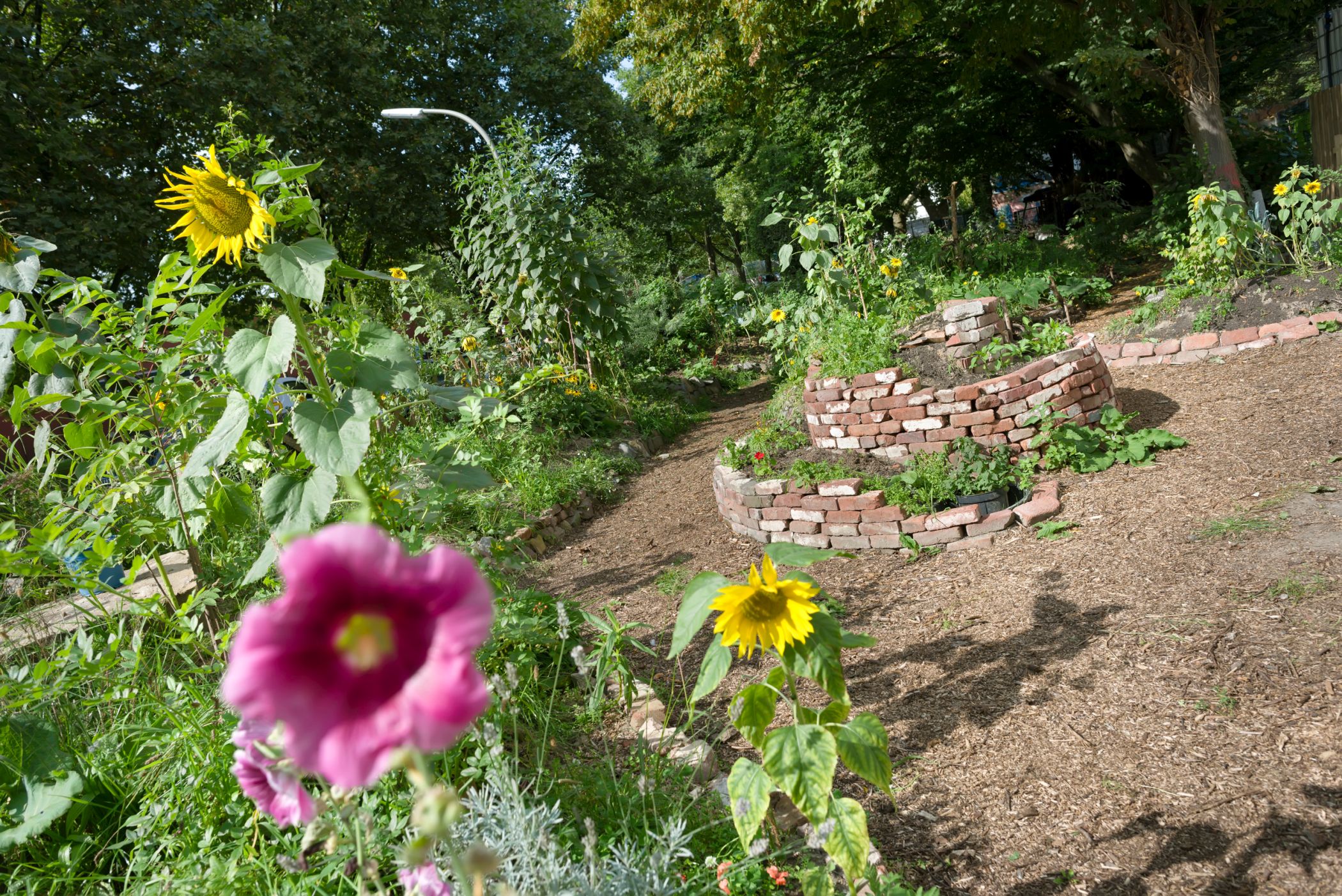Essbarer Waldgarten 7000 Schmetterlinge, Dortmund<br>Foto: Marco Wittkowski