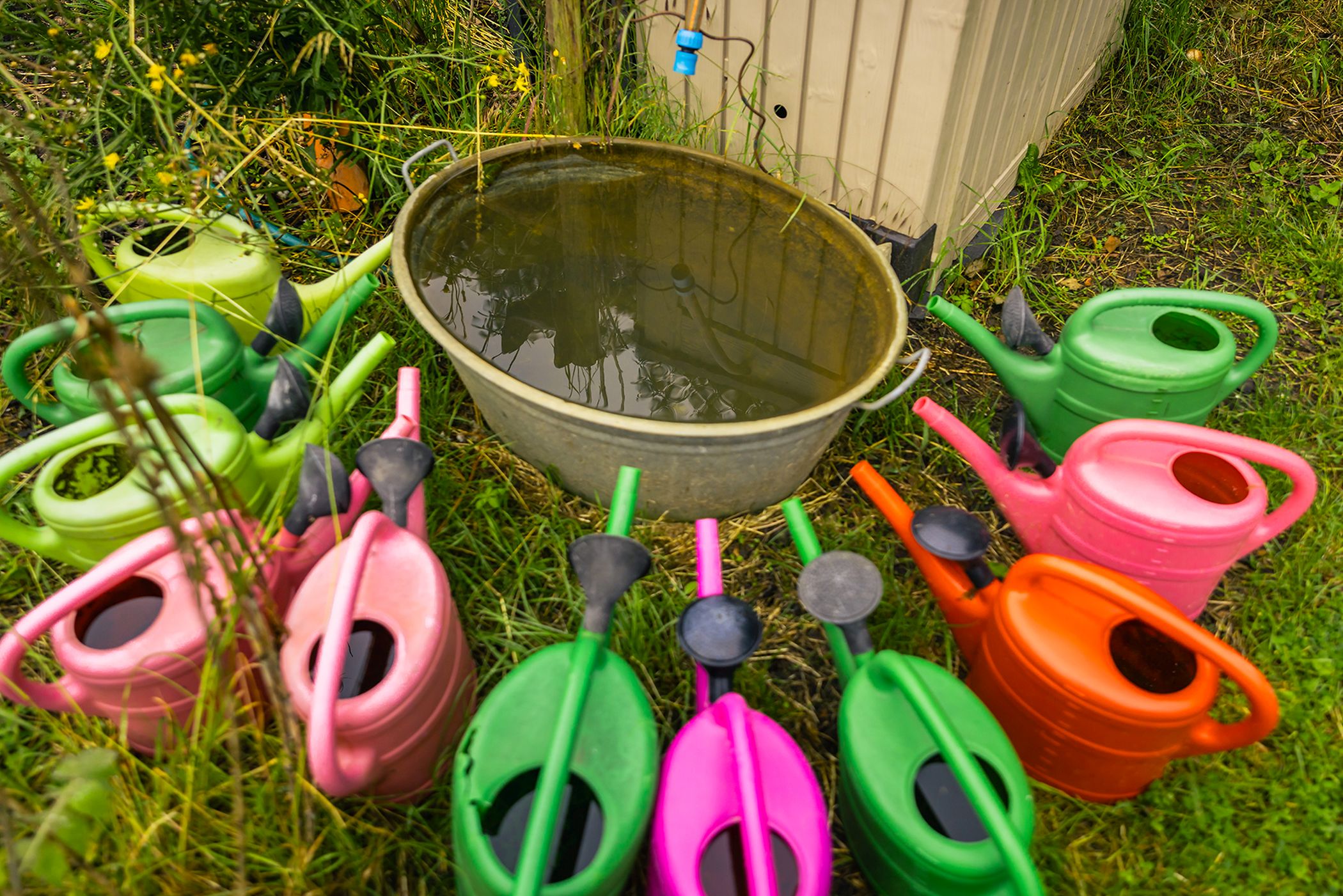 Die diesjährigen "Tage der Gärten und Parks in Westfalen-Lippe" haben das Thema "Wertvolles Wasser". Viele der teilnehmenden Gärten zeigen praktische Ideen, wie sich Wasser im eigenen Garten sammeln, speichern und gestalterisch nutzen lässt - etwa durch naturnahe Teiche, Regenwassernutzung oder kleine Wasserelemente, die Lebensräume für Tiere schaffen und das Mikroklima verbessern.<br>Foto: Roland Baege