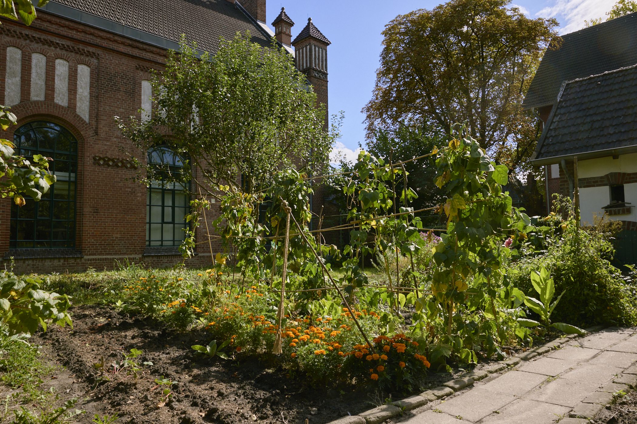 Passend zu den "Tagen der Gärten und Parks" lädt die Zeche Zollern am Wochenende zu einer Führung durch den Arbeitergarten ein.<br>Foto: LWL/ Tobias Sitko