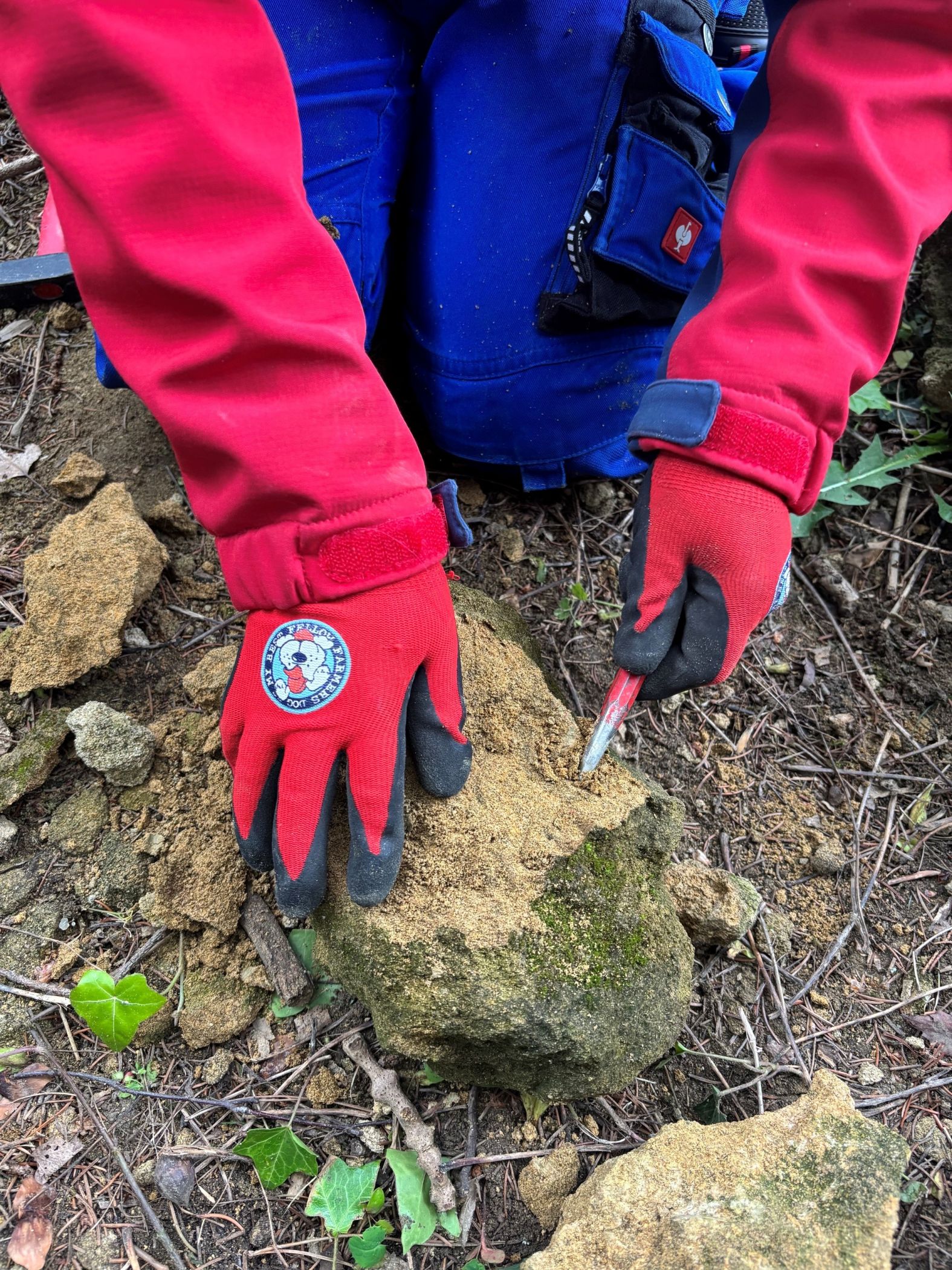 Am Sonntag (21.6.) von 13 bis 17 Uhr können Interessierte der Jugendgruppe des paläontologischen Arbeitskreis Bünde im Museumsgarten beim Präparieren über die Schulter schauen.<br>Foto: LWL/Uffmann