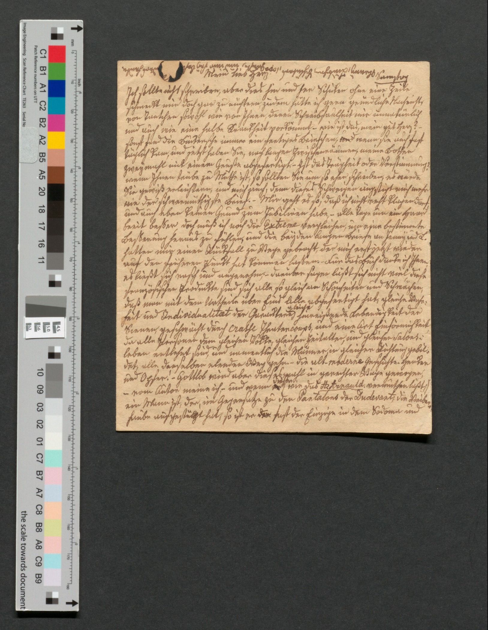 Annette von Droste-Hülshoff: Brief an Elise Rüdiger aus dem Frühjahr 1843, Westfälisches Literaturarchiv im LWL-Archivamt, Depositum Droste-Forum, Bestand 1030-5/136 (Digitalisat der ersten Seite).<br>Foto: LWL/Nikolaus Urban