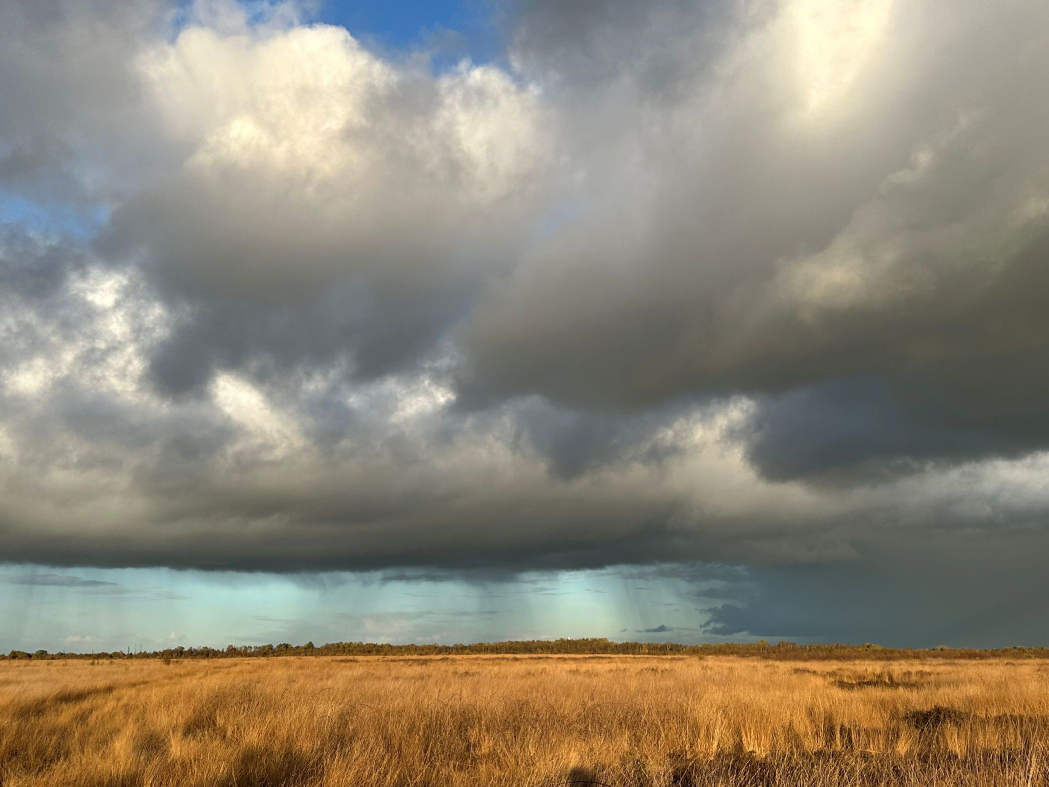 Das Oppenweher Moor lädt zu Naturentdeckungen ein.<br>Foto: LWL/Jörg Wilke