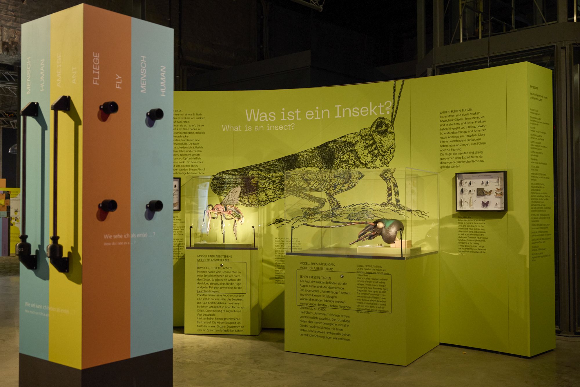 Eine Führung und ein Vortrag über Heuschrecken sind gleich zwei Gründe, die Ausstellung "Industrie-Insekten" zu besuchen.<br>Foto: LWL / Tobias Sitko