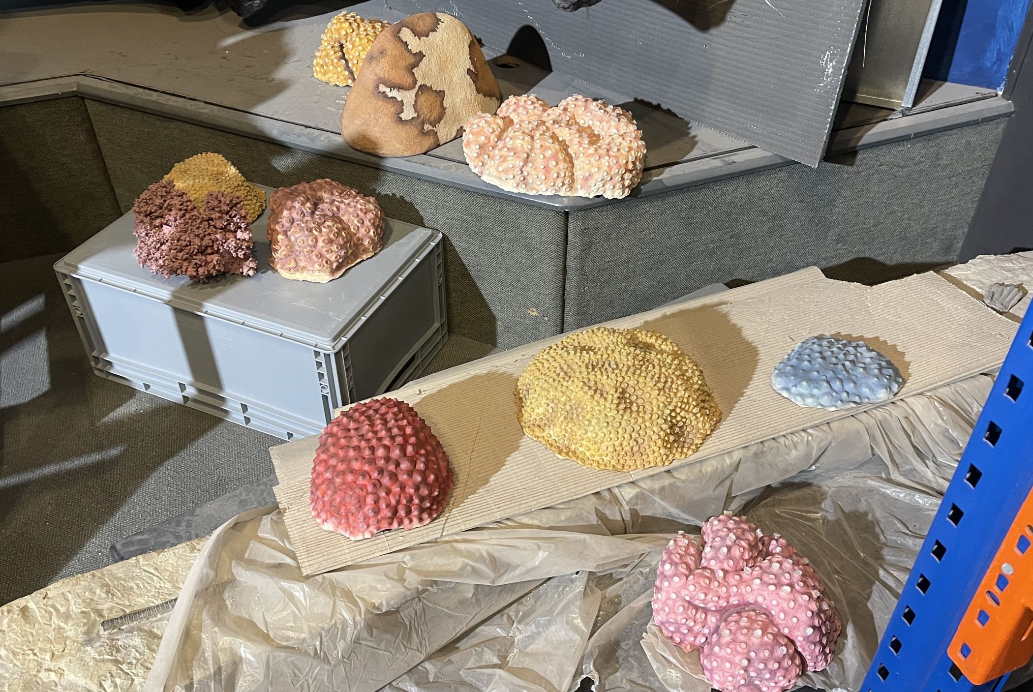 Noch warten die einzelnen Riffelemente auf ihren Einsatz: Viele Objekte wurden von Hand gefertigt, digital modelliert, abgegossen oder per 3D-Druck vervielfältigt.<br>Foto: LWL/Fialla