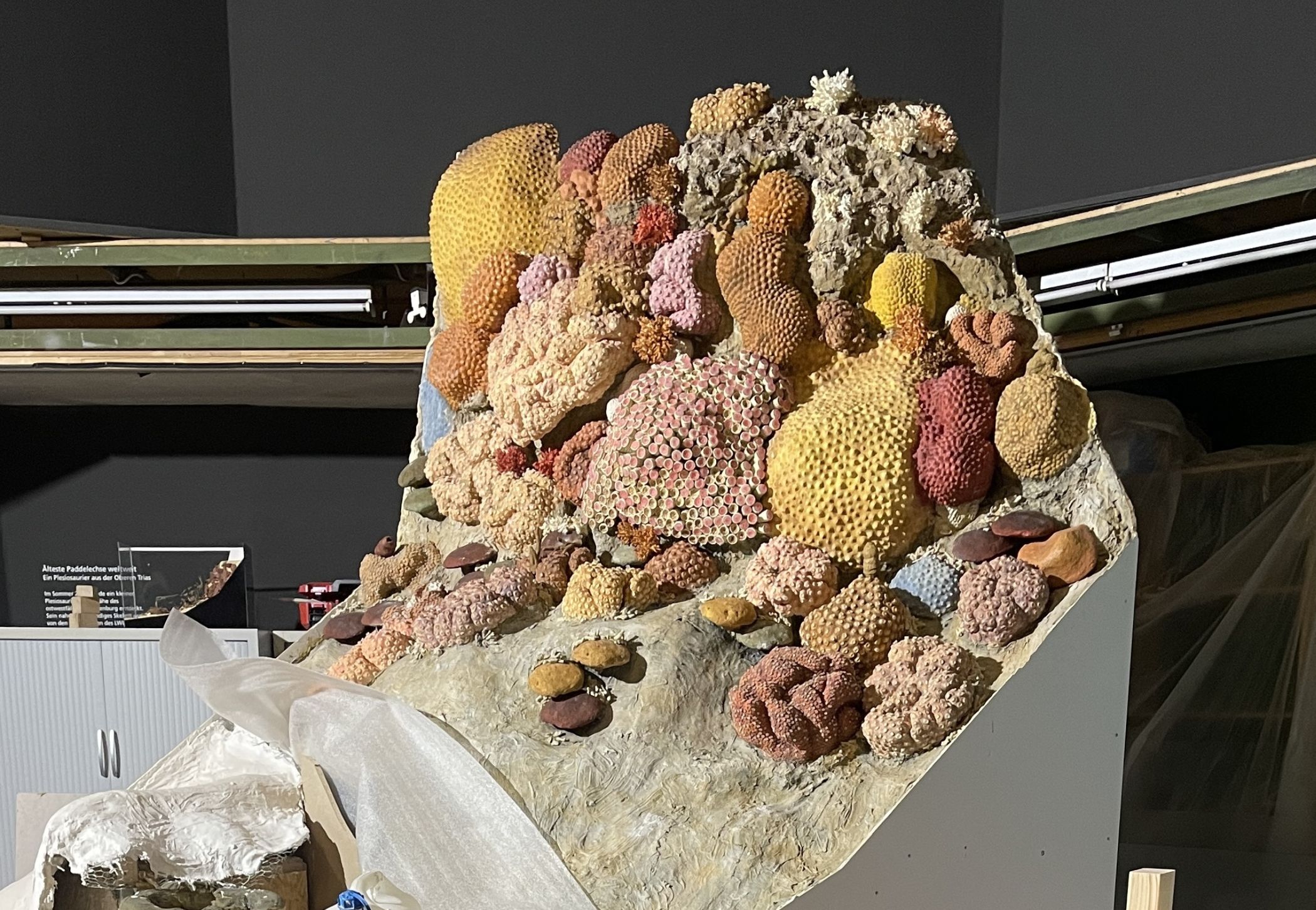 Korallen, Schwämme und weitere Meeresbewohner werden zeigen, wie artenreich die tropischen Flachmeere im heutigen Nordrhein-Westfalen vor Millionen Jahren waren.<br>Foto: LWL/Fialla