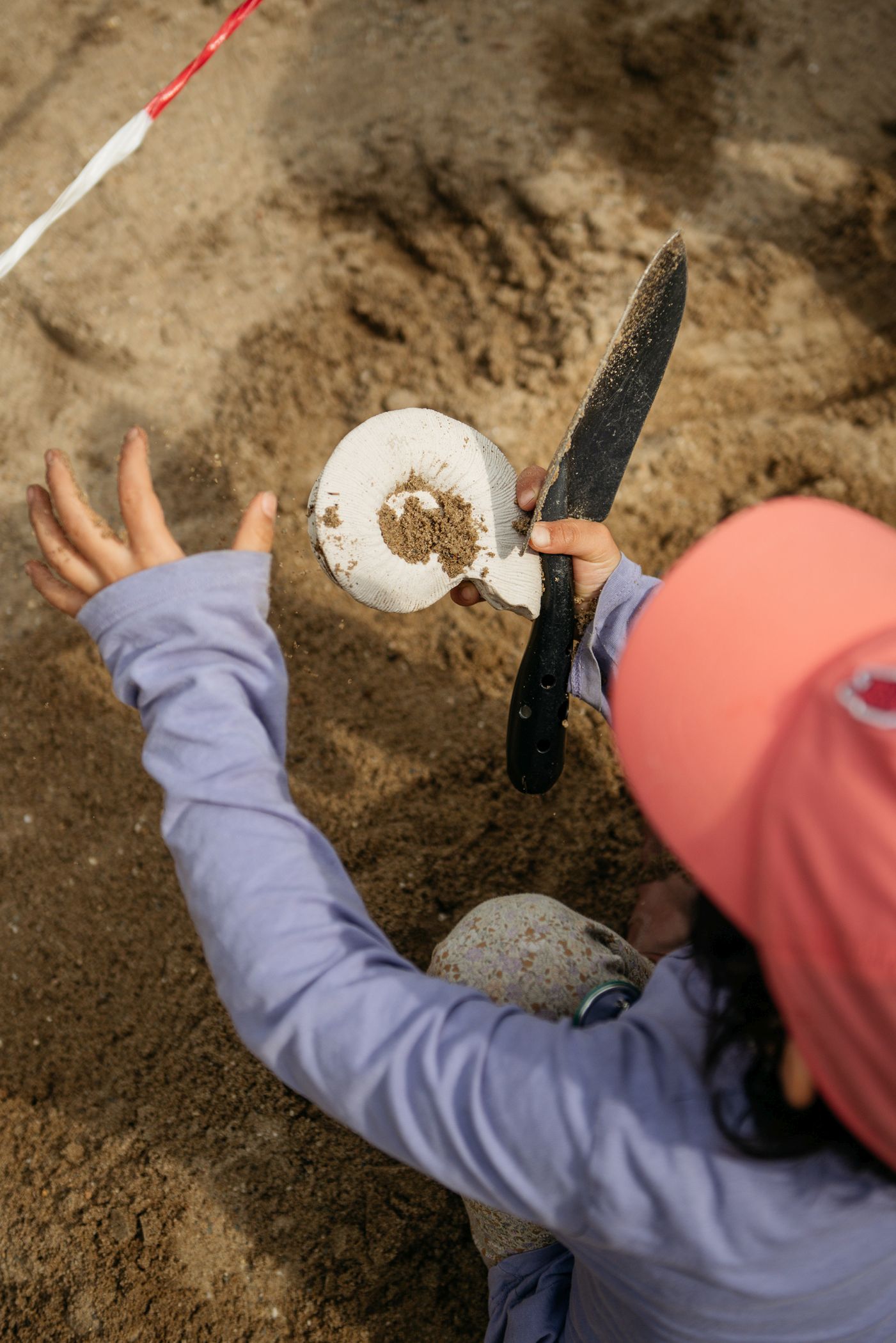 Was liegt denn da im Sand verborgen? Auf verschiedenen Spielplätzen Münsters warten ab dem 9. Juni geheimnisvolle Fossilien darauf, entdeckt zu werden.<br>Foto: LWL/Steinweg