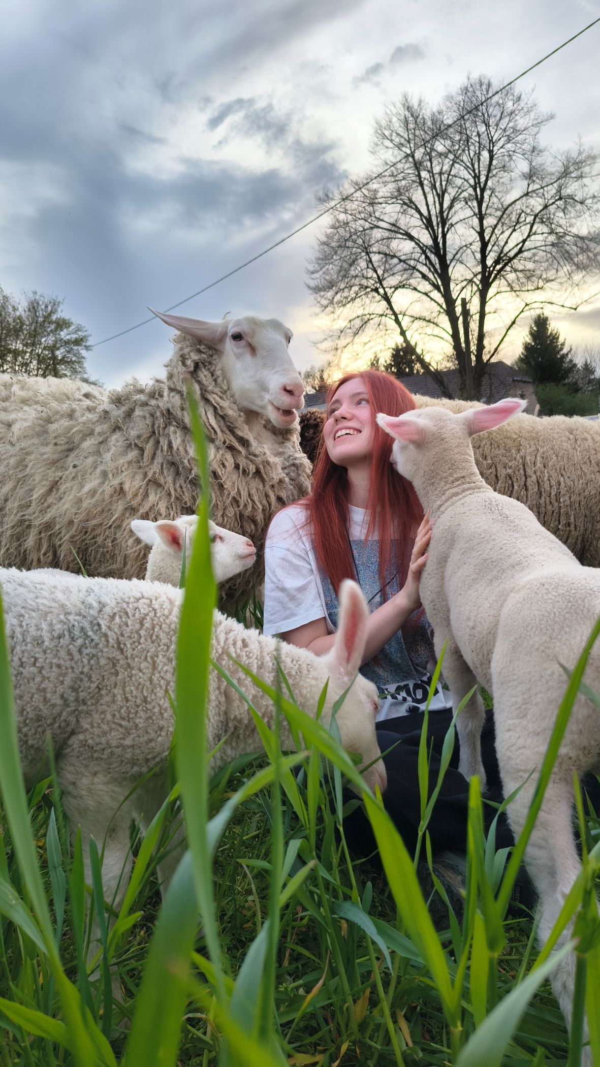 Auch der Umgang mit Tieren kann ein Schwerpunkt des Freiwilligendienstes sein.<br>Foto: LWL/ Josefine Linnemann