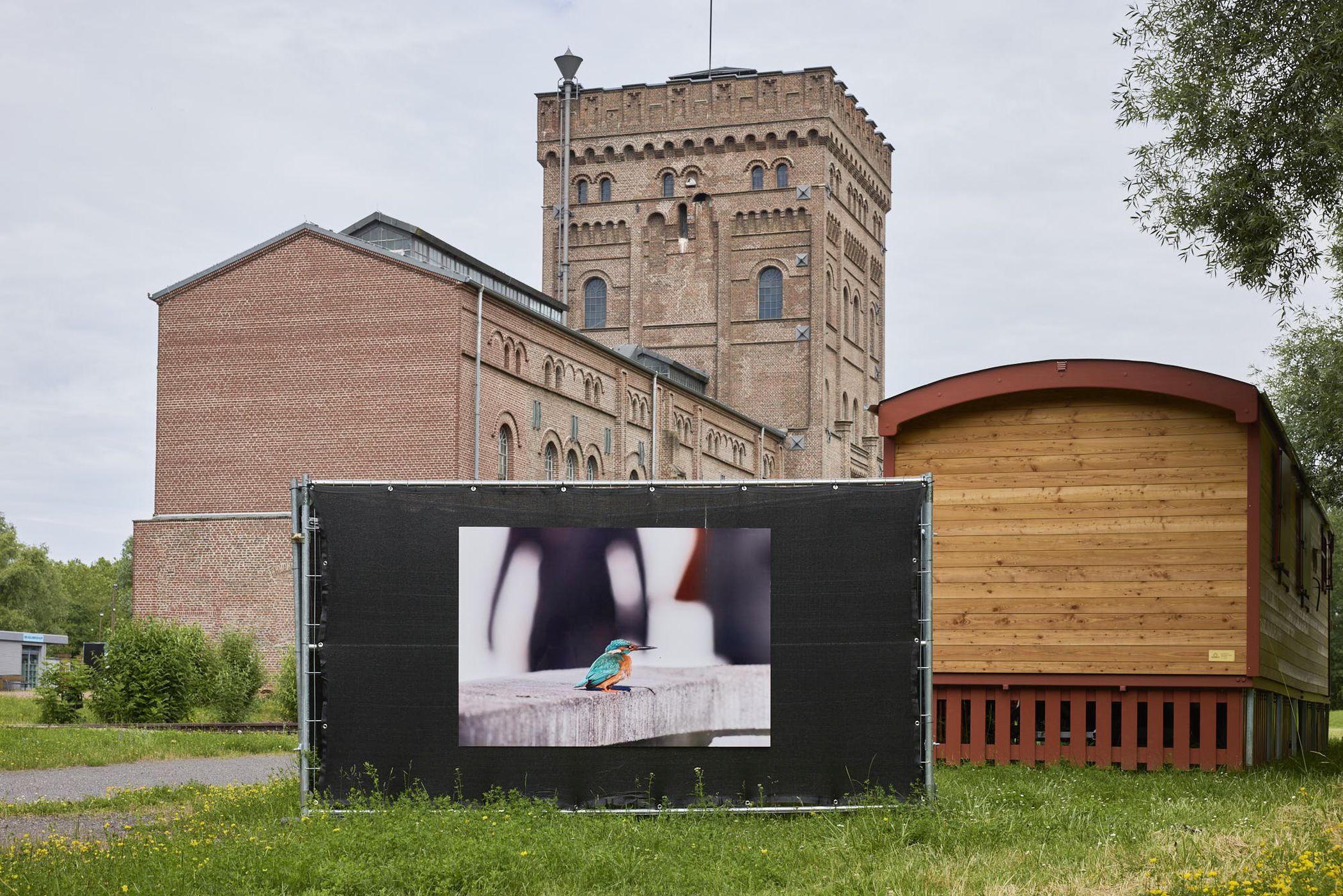 Auf dem Außengelände ziehen die Fotografien der Ausstellung "Großstadt Wildnis" die Augen auf sich.<br>Foto: LWL / Julia Gehrmann