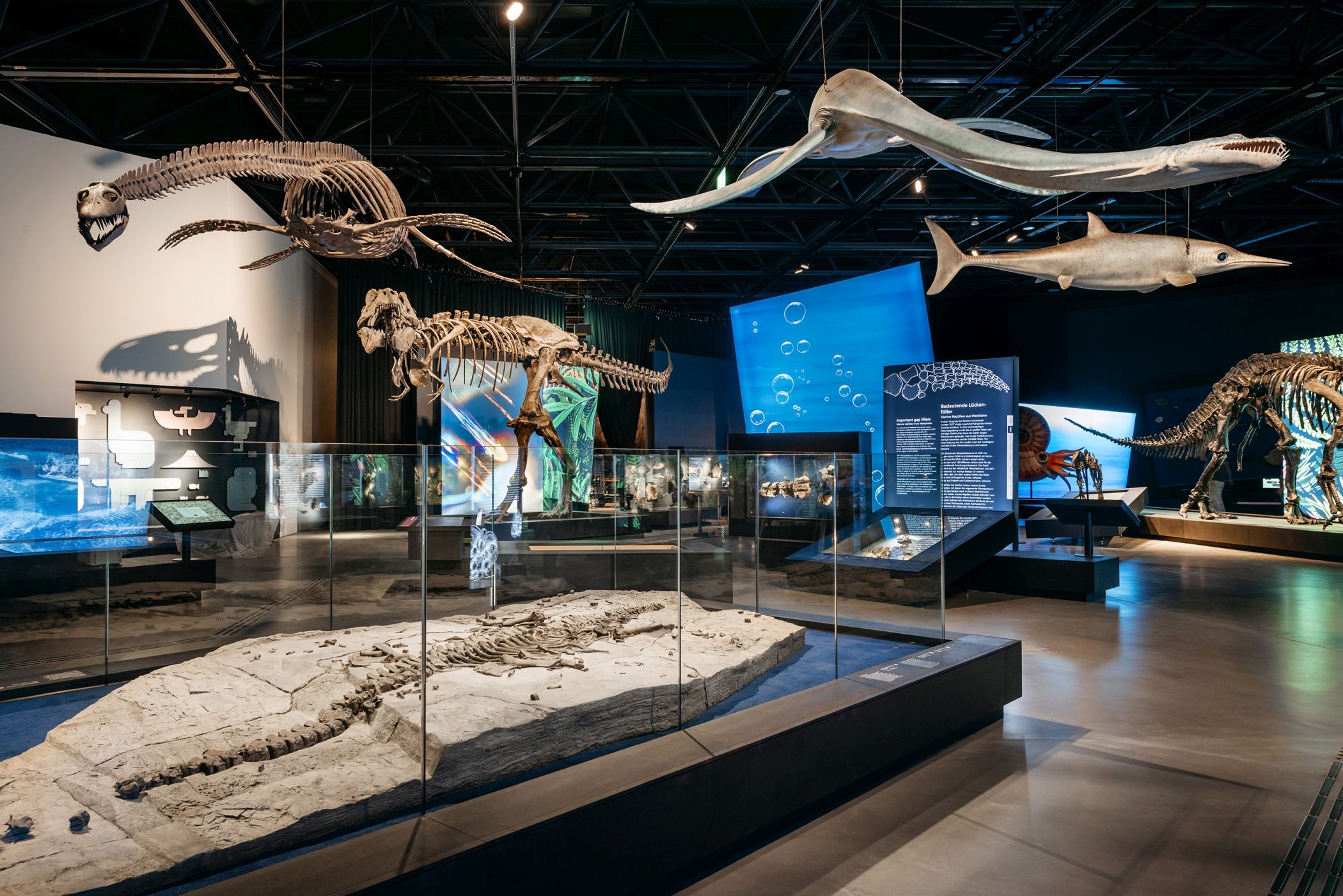 Skelette, Fossilien und Modelle zeigen die Vielfalt vergangener Lebenswelten an Land und im Wasser.<br>Foto: LWL/Steinweg
