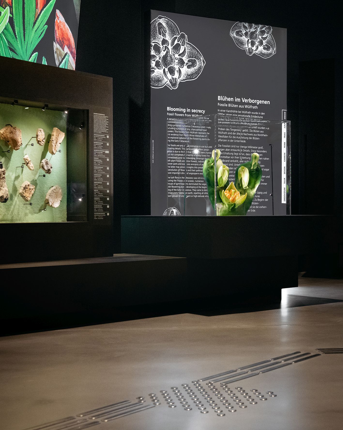 Erstmals in einer Ausstellung des Naturkundemuseums gibt es ein taktiles Bodenleitsystem, welches durch die Ausstellung führt.<br>Foto: LWL/Steinweg