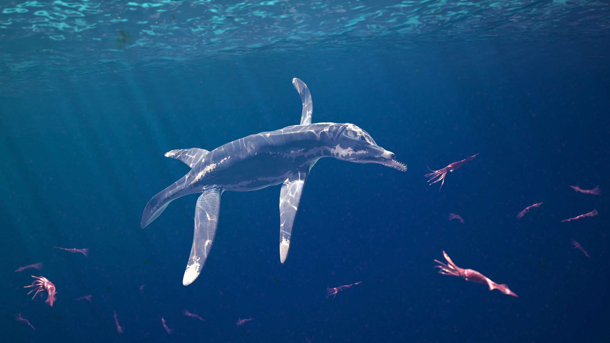 Ein besonderes Erlebnis ist das "Paläoaquarium": eine 13 mal 4 Meter große Projektion einer jurassischen Unterwasserwelt in der Besucher:innen unter anderem dem Peloneustes, einem ausgestorbenen Meeresreptil, begegnen können.<br>Grafik: Die Infografen