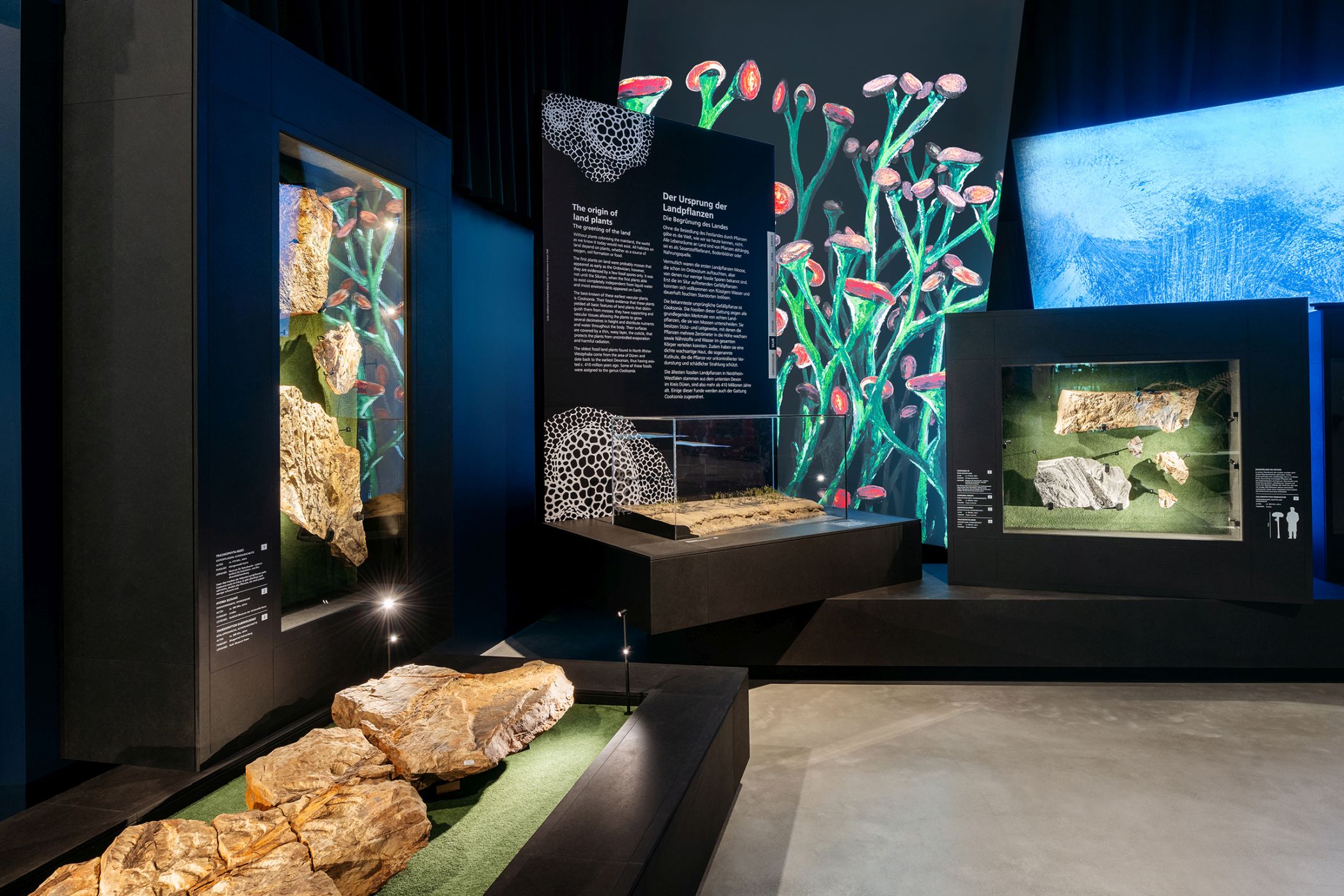 Blick in die Ausstellung: Die Vitrinen zeigen Pflanzenfossilien und geben Einblicke in die frühe Entwicklung der Landpflanzen.<br>Foto: LWL/Steinweg