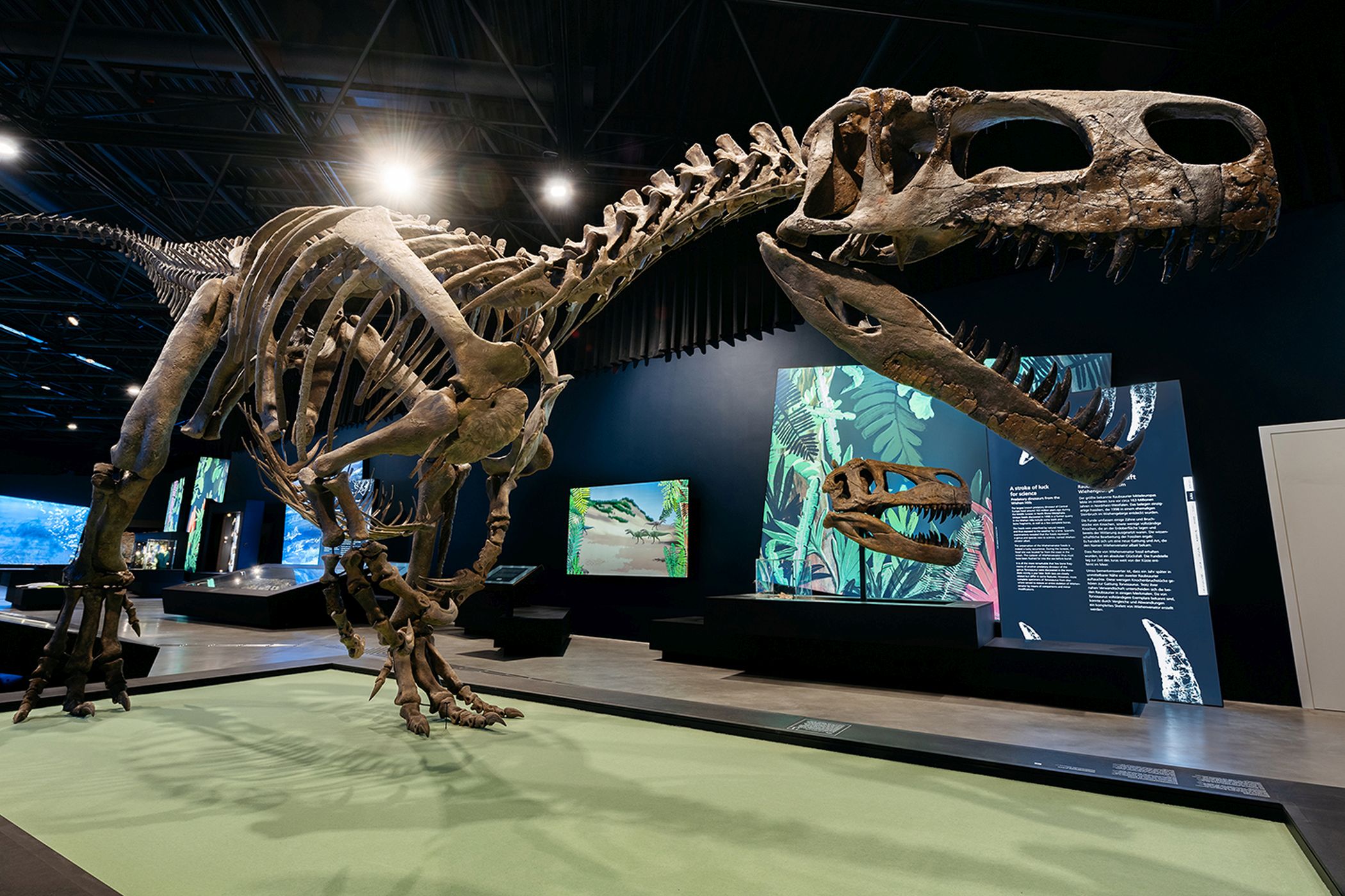 An drei Tagen gibt es freien Eintritt in die neue Ausstellung "überLeben" des LWL-Museums für Naturkunde.<br>Foto: LWL/Steinweg