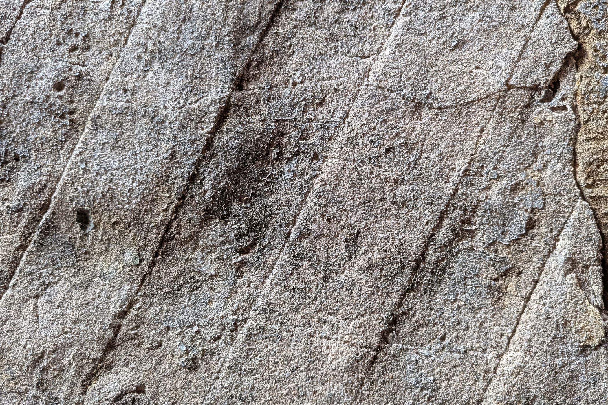 Detailaufnahme der diagonalen Streifen.<br>Foto: Markus Schmidt