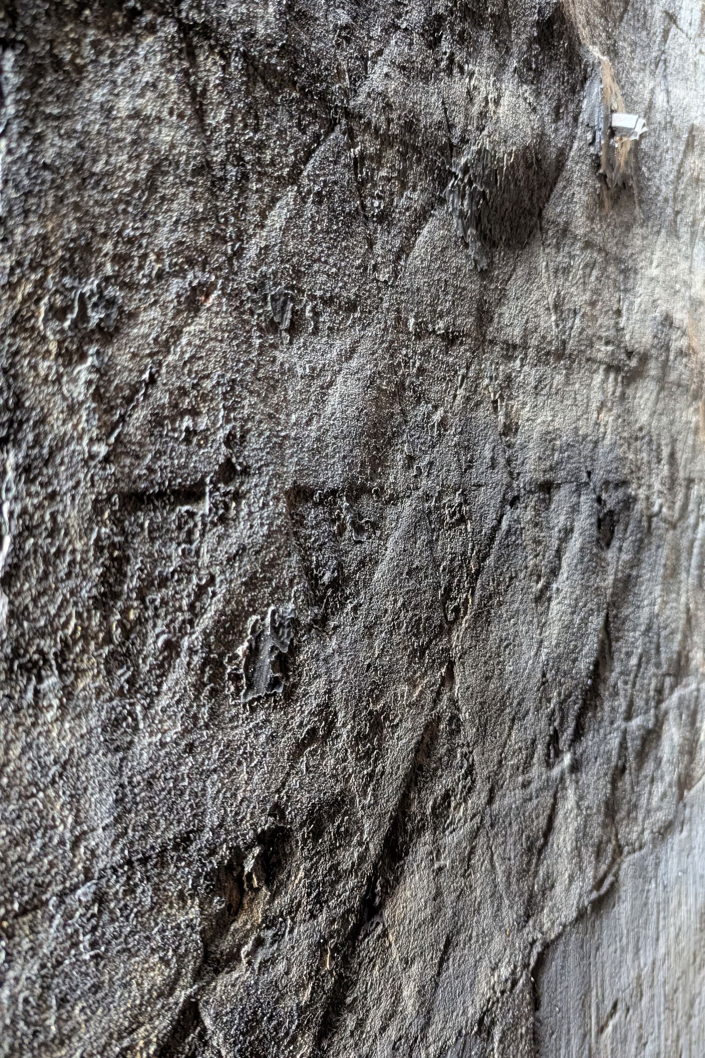 Detailaufnahme des Licht- und Schattenspiels.<br>Foto: Markus Schmidt