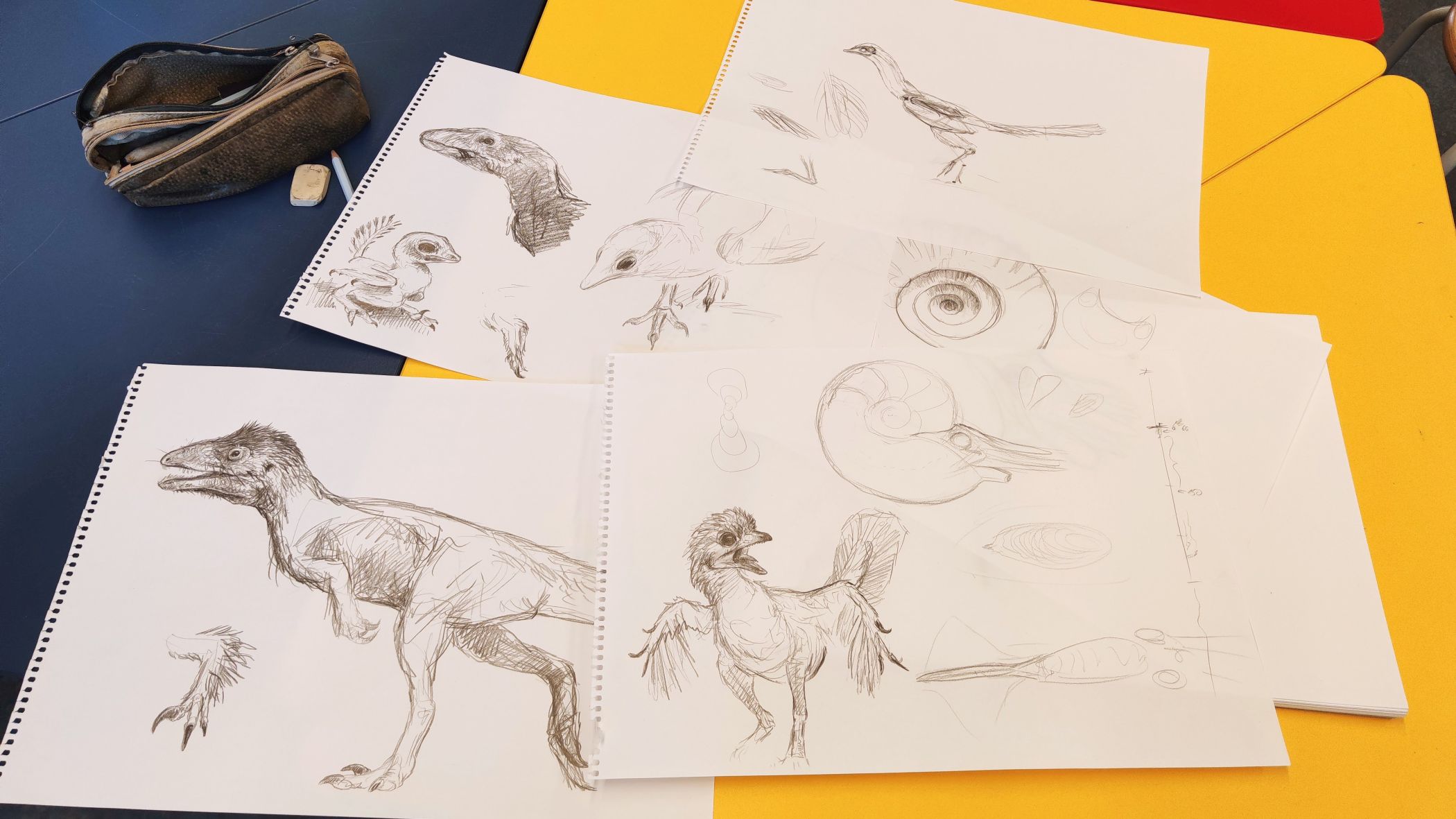 Dr. Frederik Spindler vermittelt Kindern und Jugendlichen im LWL-Museum für Erdgeschichte in Bünde im Zeichen-Workshop, wie aus Fossilien Bilder von Urzeitwesen entstehen.<br>Foto: (C)Frederik Spindler