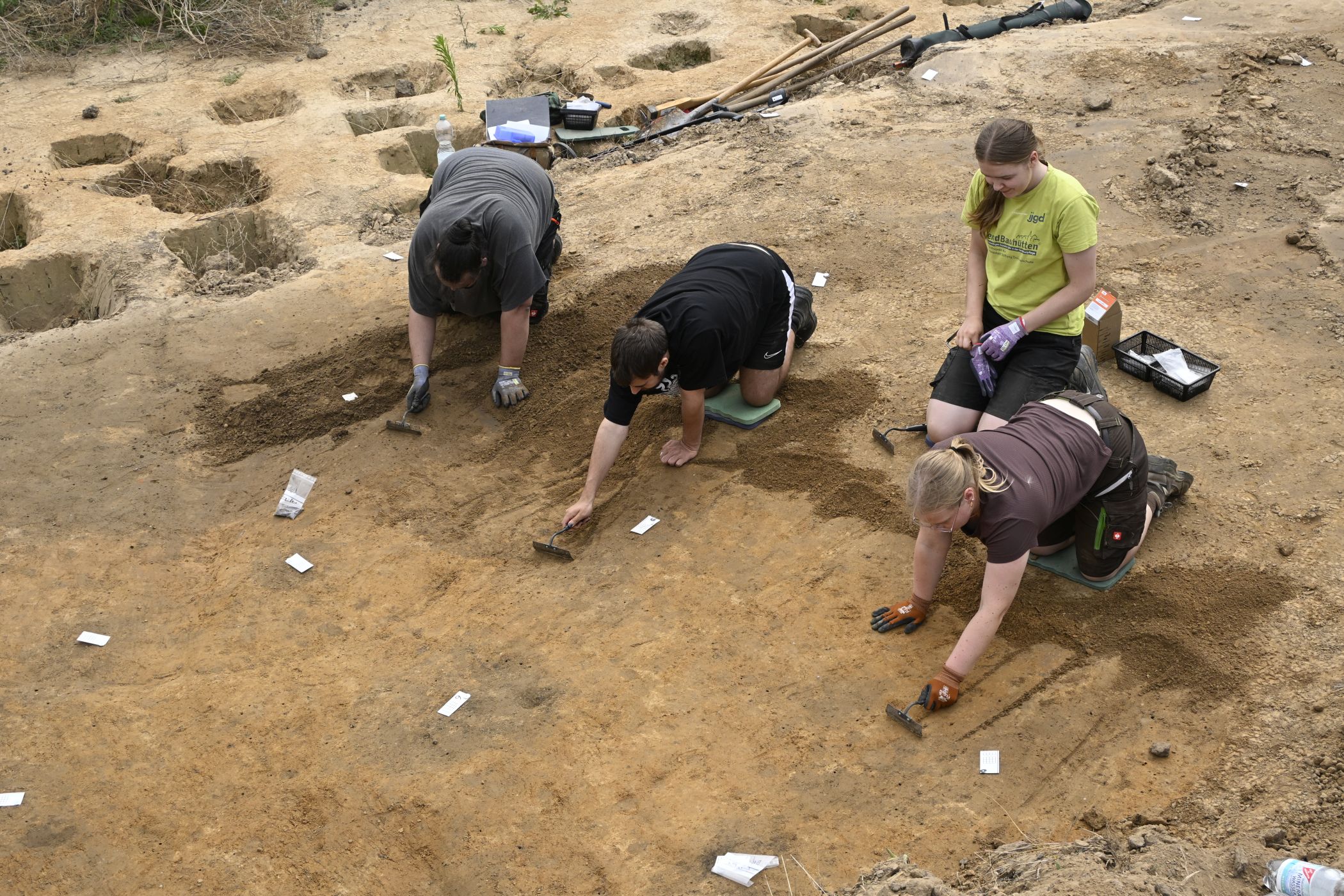 Das Grabungsteam legt die Spuren der Hauspfosten frei, die sich als dunkle Verfärbungen im gelben Lehm abzeichnen.<br>Foto: LWL/A. Koch