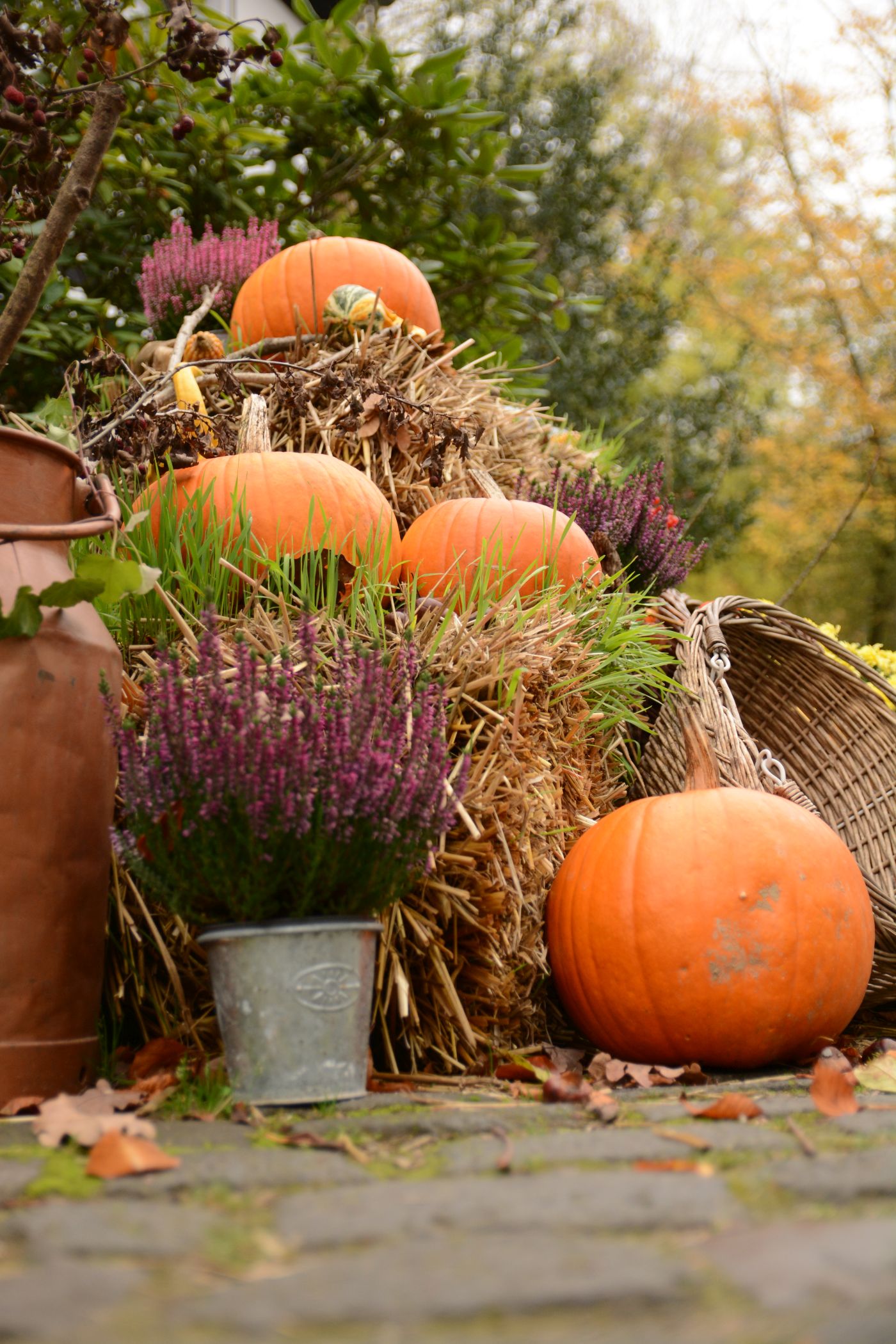 Liebevolle Herbstdeko auf dem gesamten Gelände lädt zum gemütlichen Bummeln ein. Foto: Jörg Rasche/taon_fotos