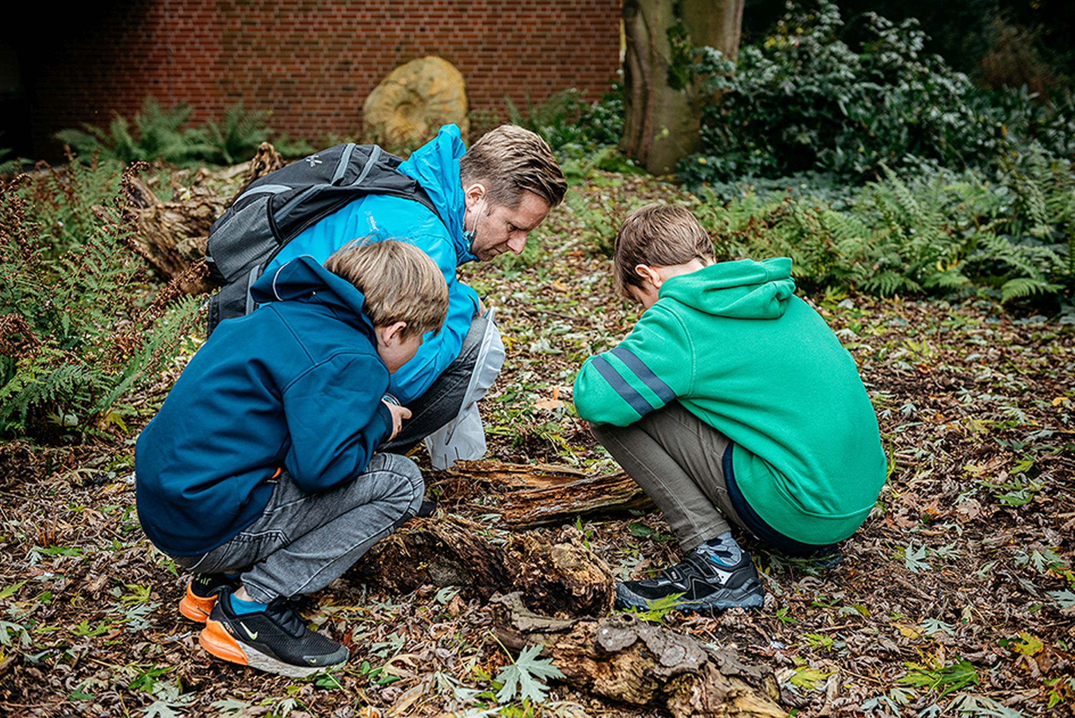 In den Herbstferien können Interessierte im Museumsgarten Naturmaterialien sammeln und damit kreativ werden.<br>Foto: LWL/Christoph Steinweg